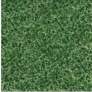Natural Grass Vitrified Tile 16*16 inch