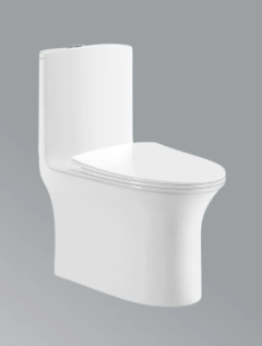 One-Piece Toilet with Soft-Close Seat Cover in White